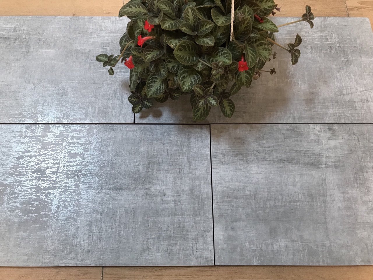 gạch Taicera G68928