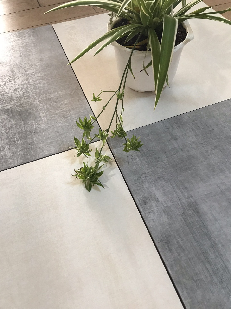 gạch Taicera G68922