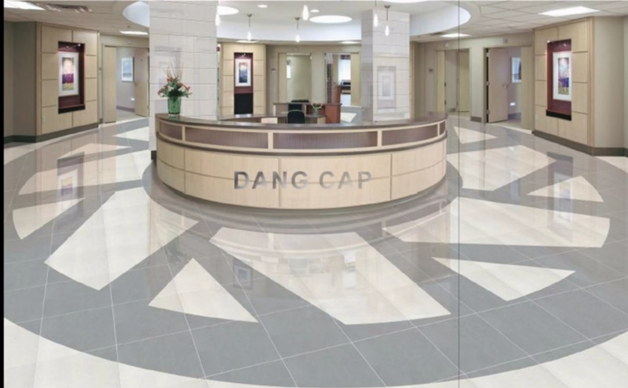 BÁO GIÁ GẠCH ĐỒNG TÂM CÔNG TRÌNH DỰ ÁN TẠI TỈNH ĐỒNG THÁP