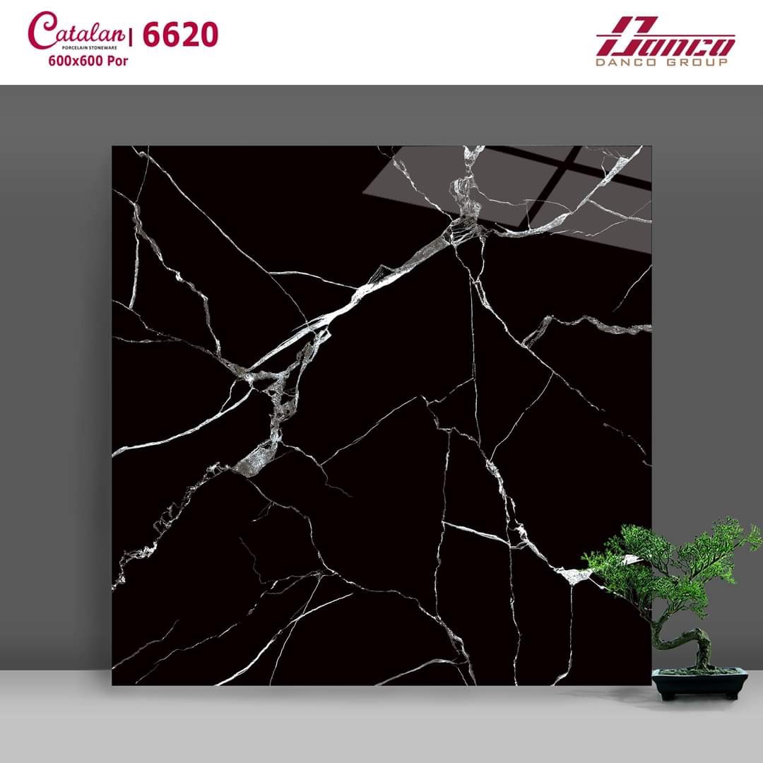 GẠCH CATALAN 60x60 GIÁ RẼ TẠI THÀNH PHỐ HỒ CHÍ MINH