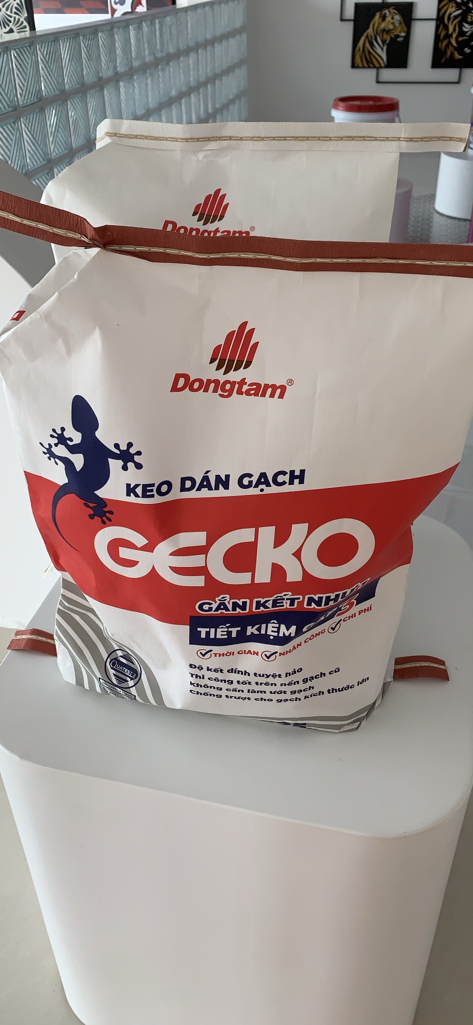 ĐẠI LÝ KEO GẠCH ĐỒNG TÂM GECKO TẠI THÀNH PHỐ HỒ CHÍ MINH