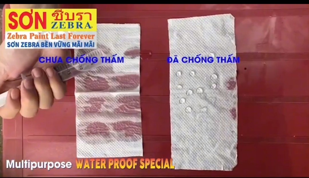 Giải Pháp Chống Thấm Hiệu Quả Với Sản Phẩm Chống Thấm Thẩm Thấu ZEBRA PAINT