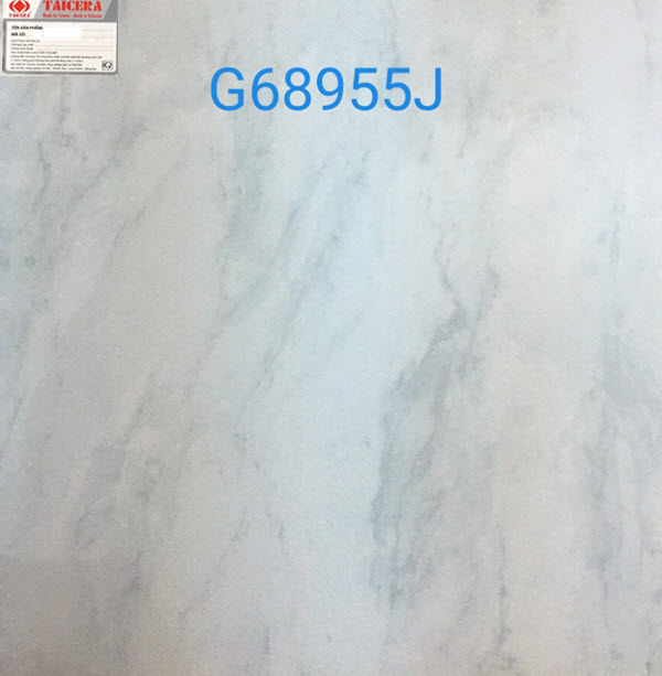 Gạch Taicera G68955J Mờ