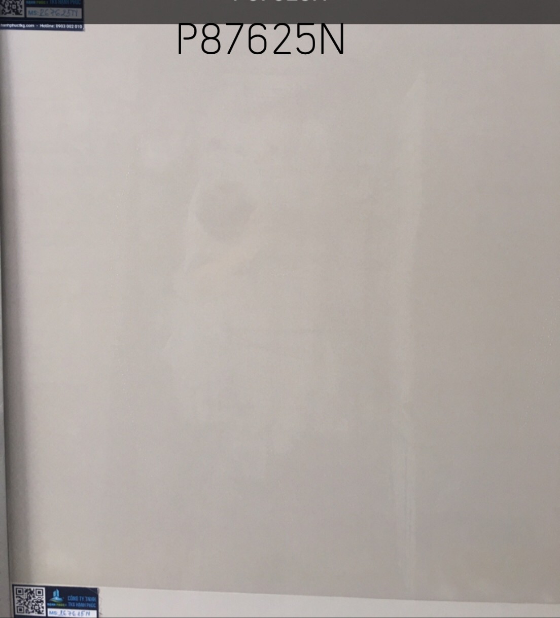 Gạch Taicera P87625N 80x80