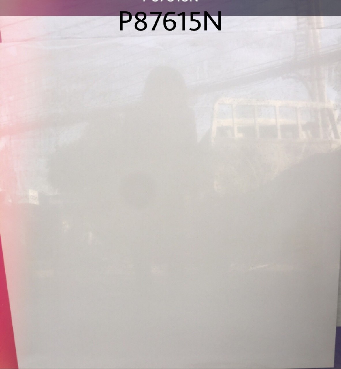 Gạch Taicera P87615N 80x80