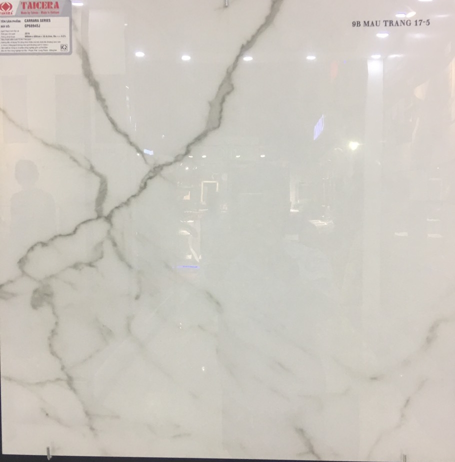 Gạch 60x60 taicera GP68945