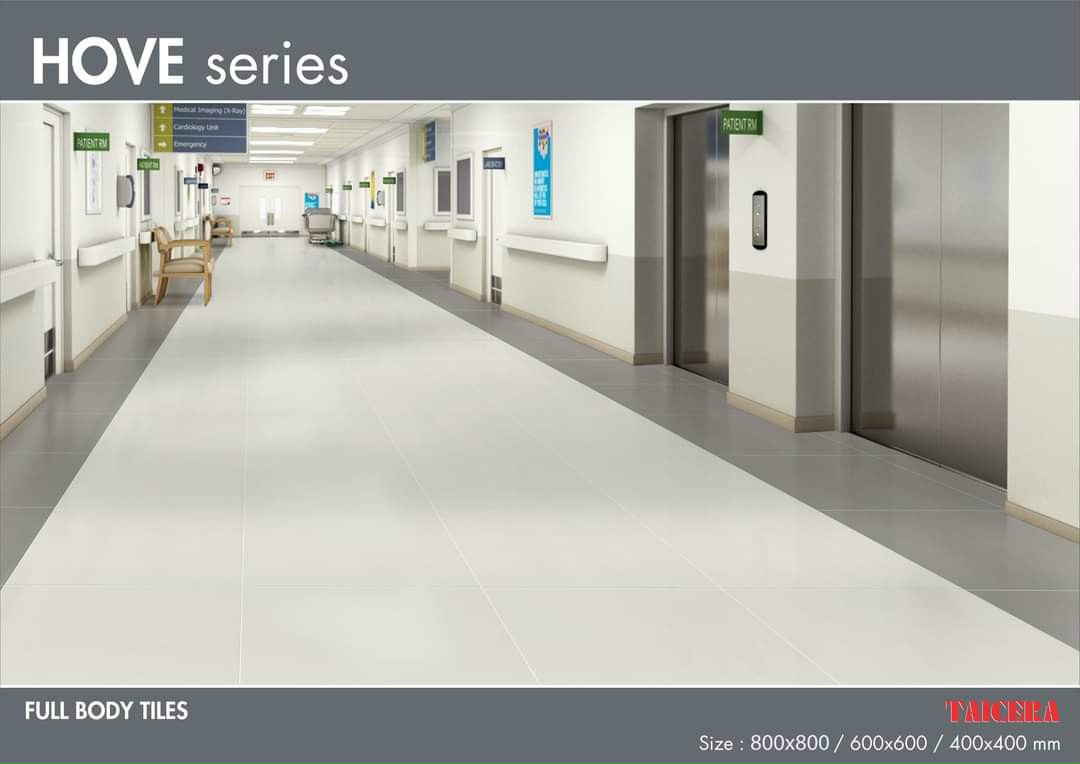 GẠCH TAICERA 80X80 G88005 MỜ