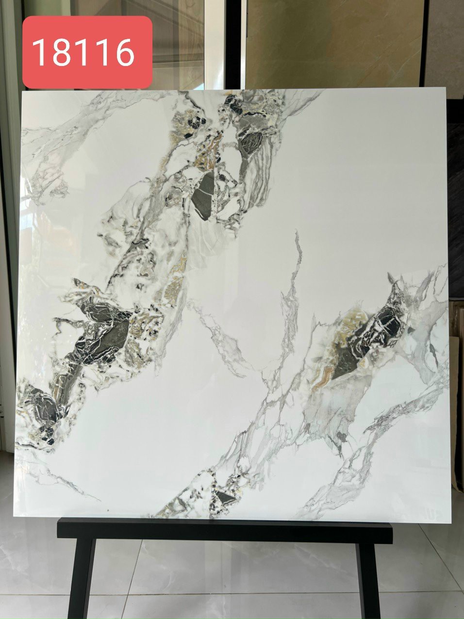 Gạch Apodio 80x80 18118