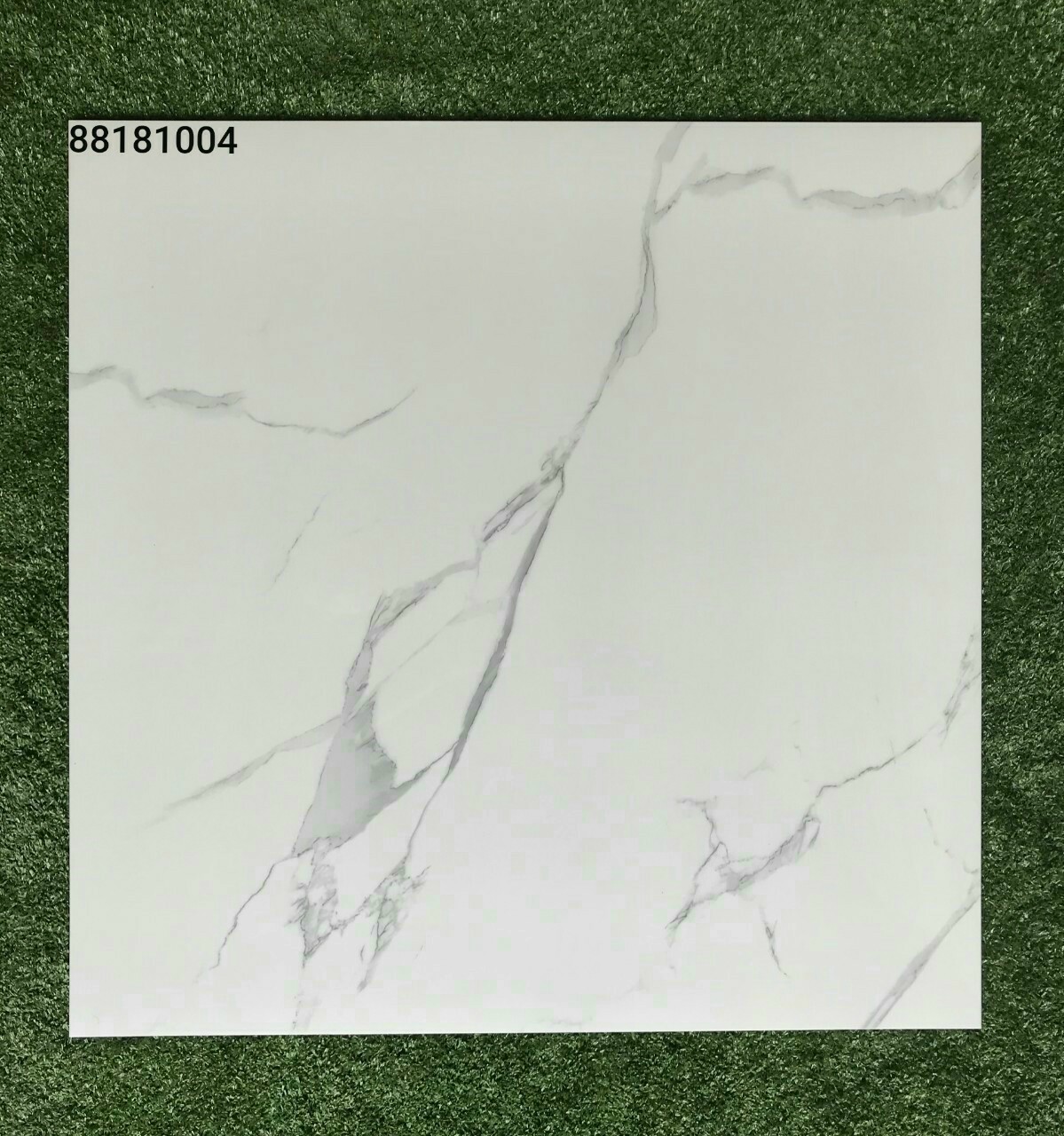 Gạch Apodio 80x80 88181004