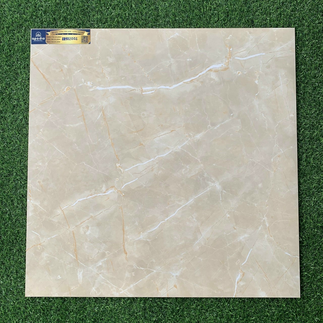Gạch Apodio 80x80 88182002